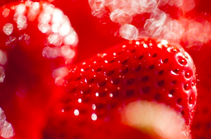 GOOSTO - fraises confiture