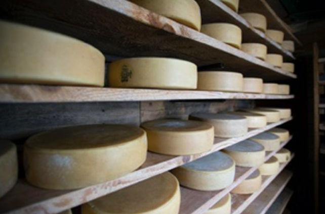 GOOSTO - fromage cave affinage